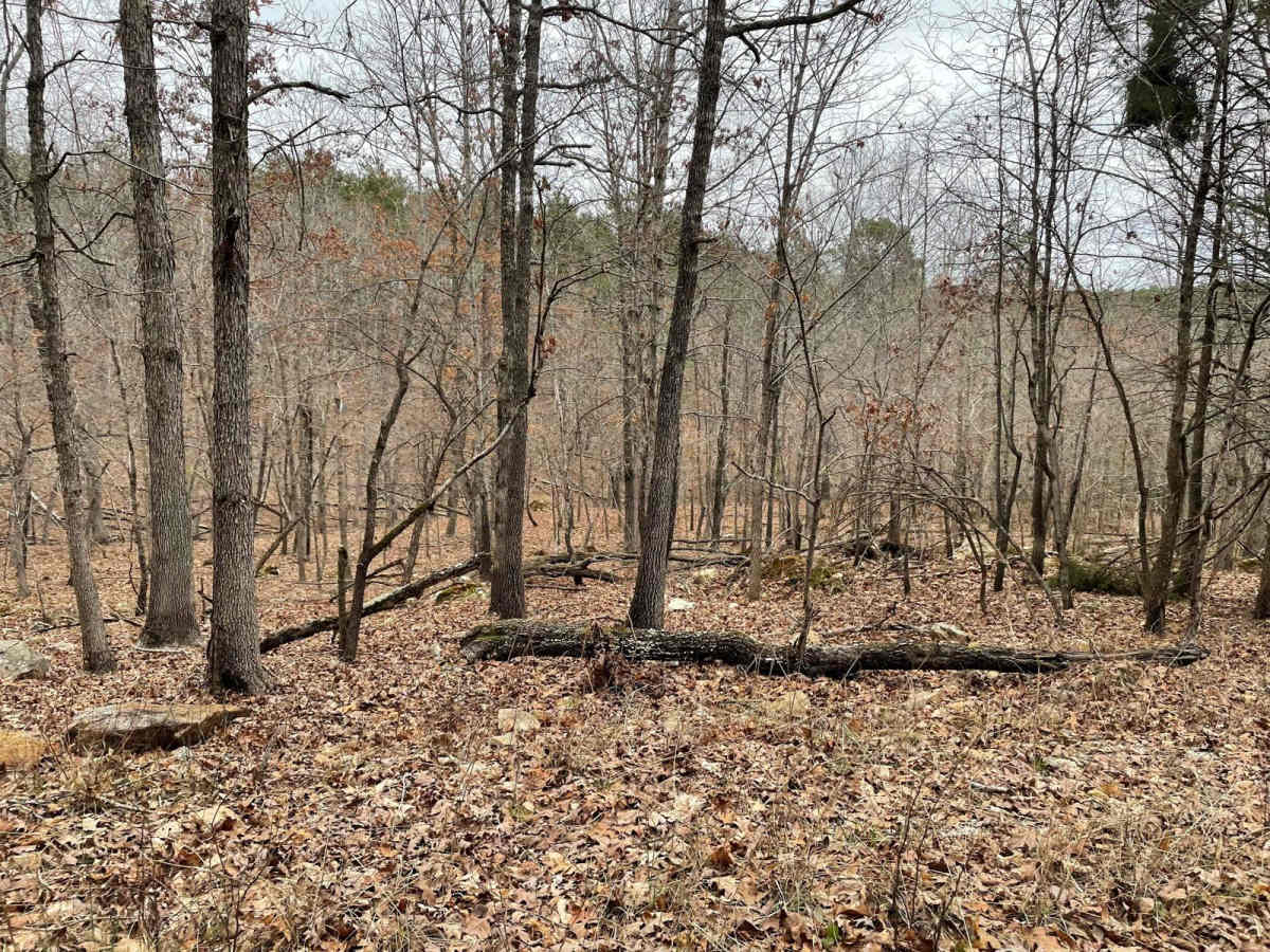 Flatwoods School (FS3119) photo 3