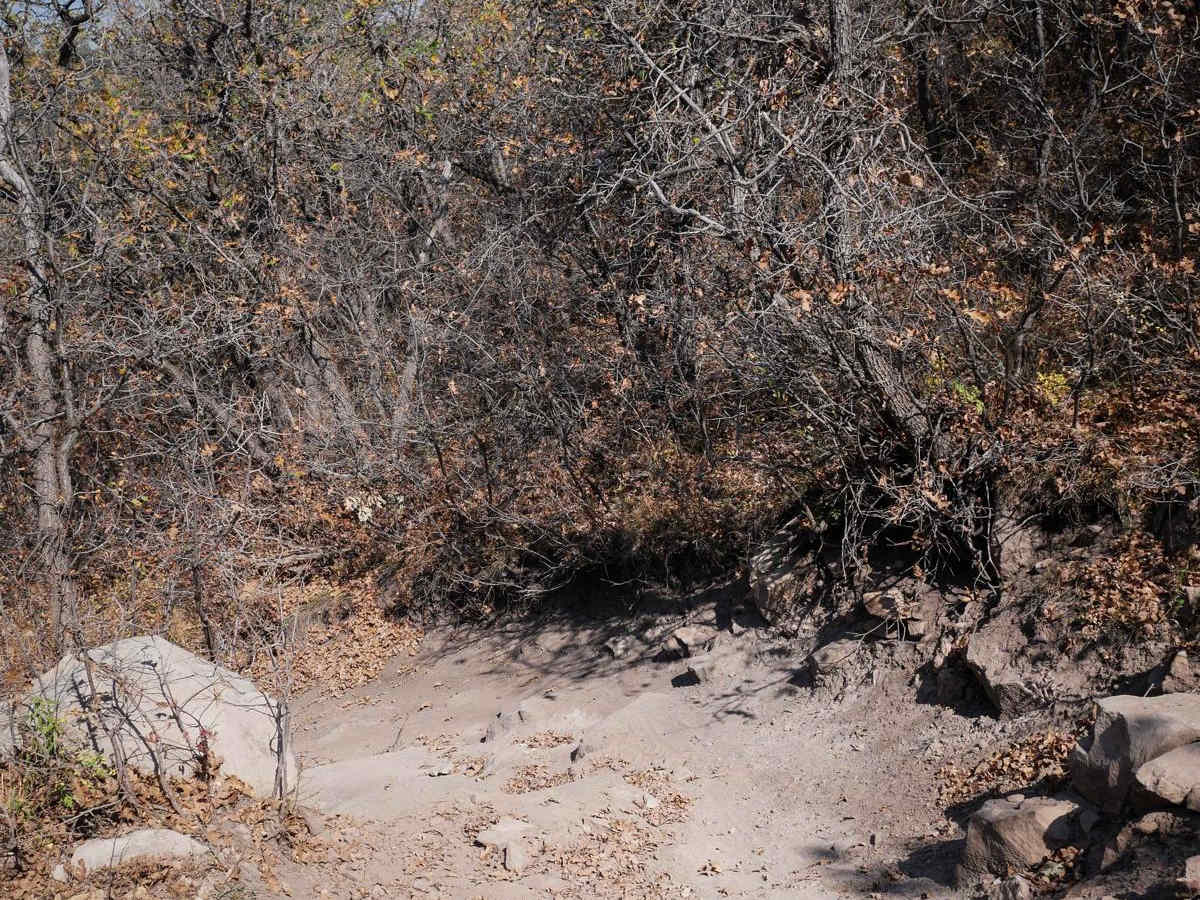 Spring Creek ATV Trail (East) photo 4
