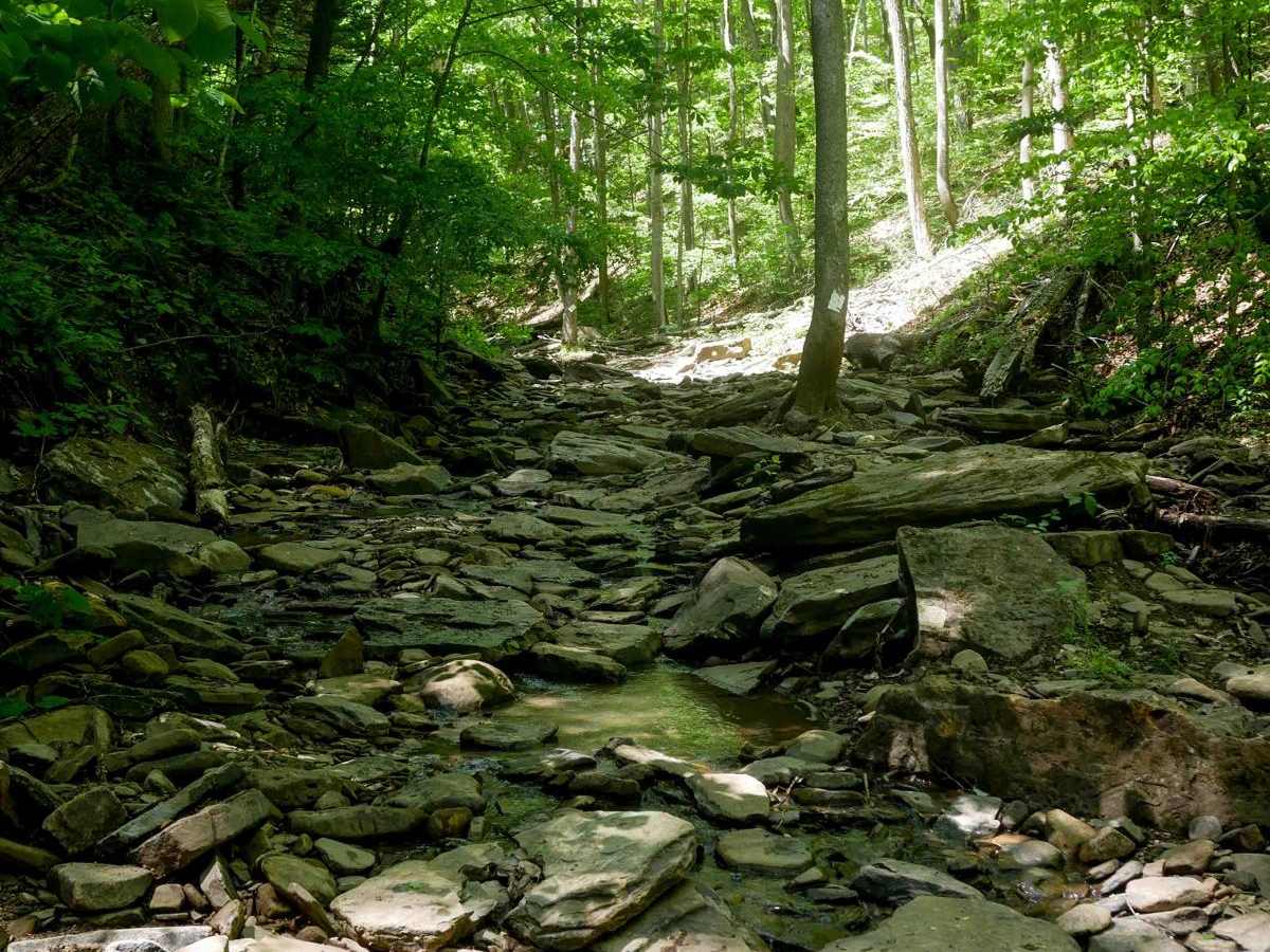 Trail 29 photo 2