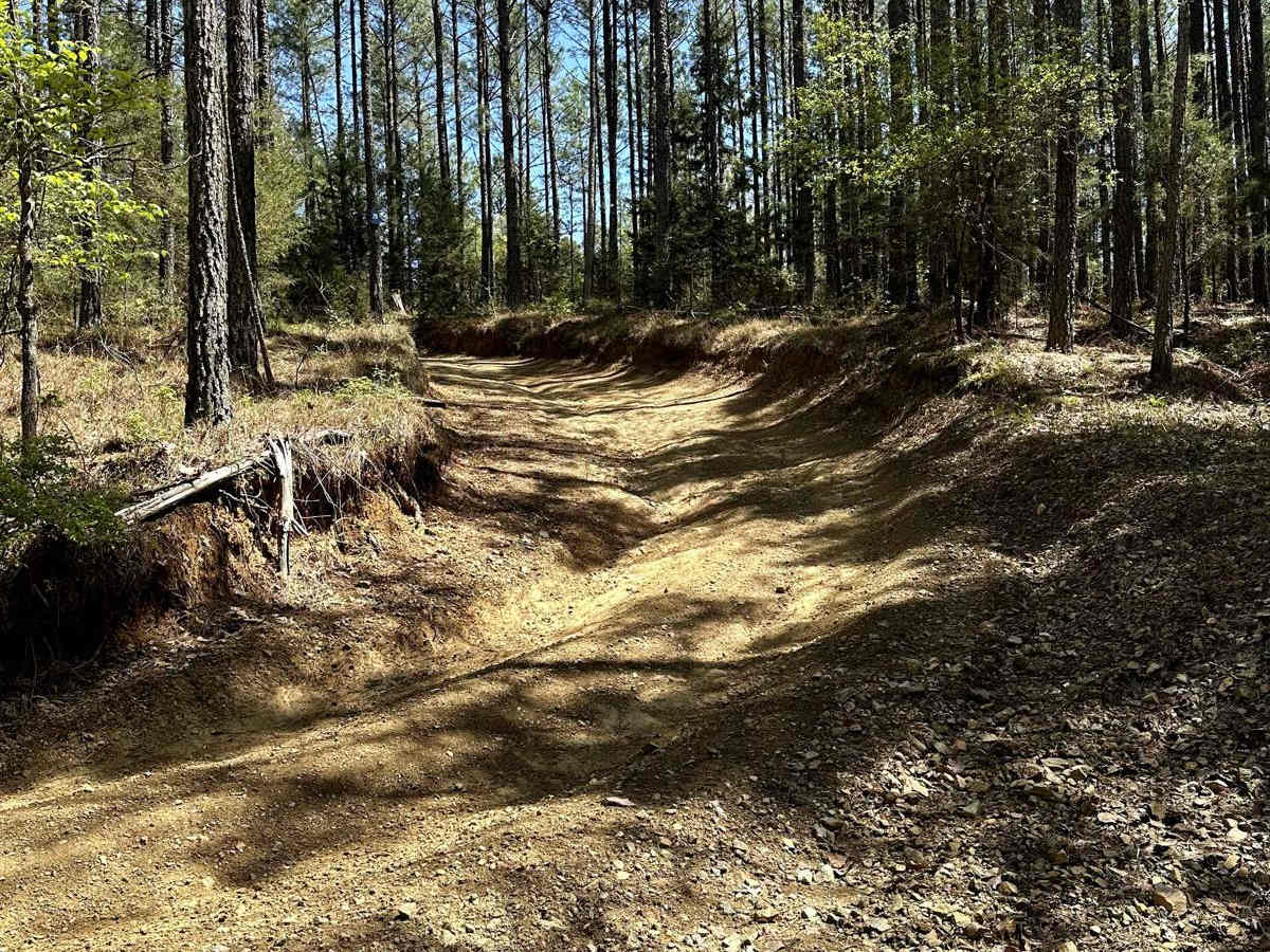 Trail 25 photo 2