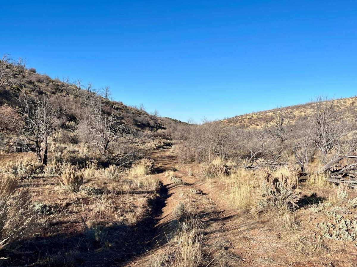 Rattlesnake Canyon 1054 photo 6