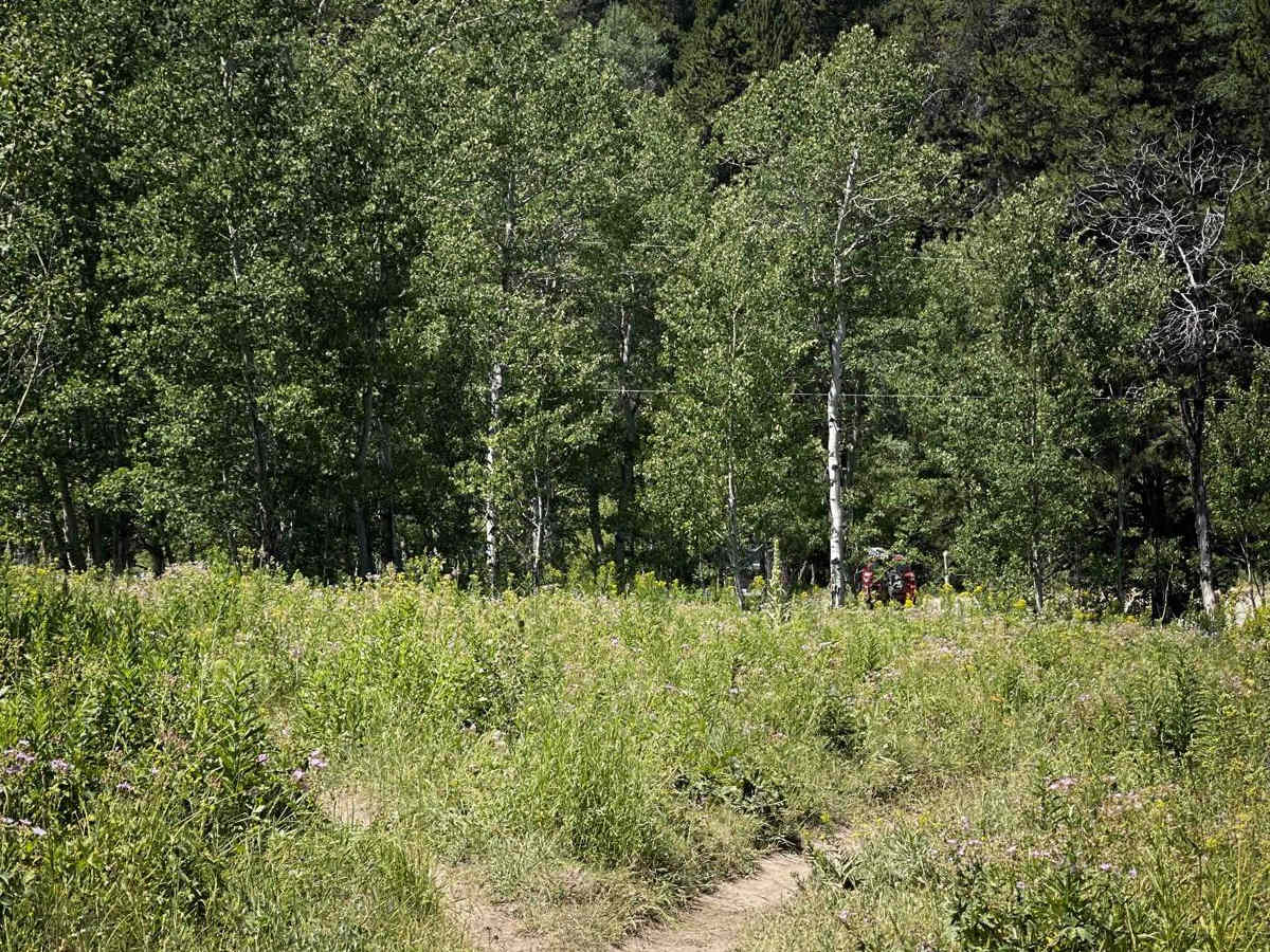 Poison Creek photo 4
