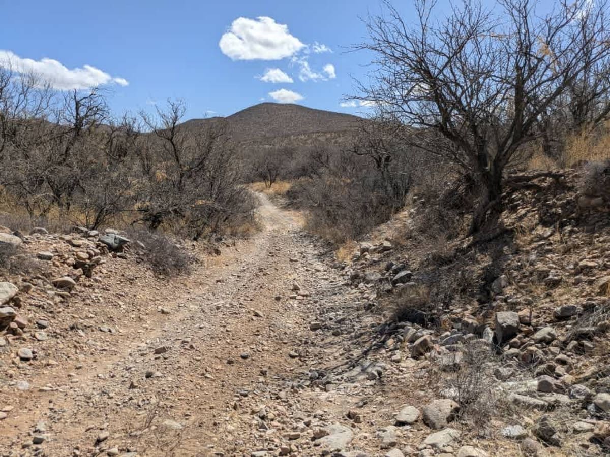 FR245 Honey Trap Loop trail photo