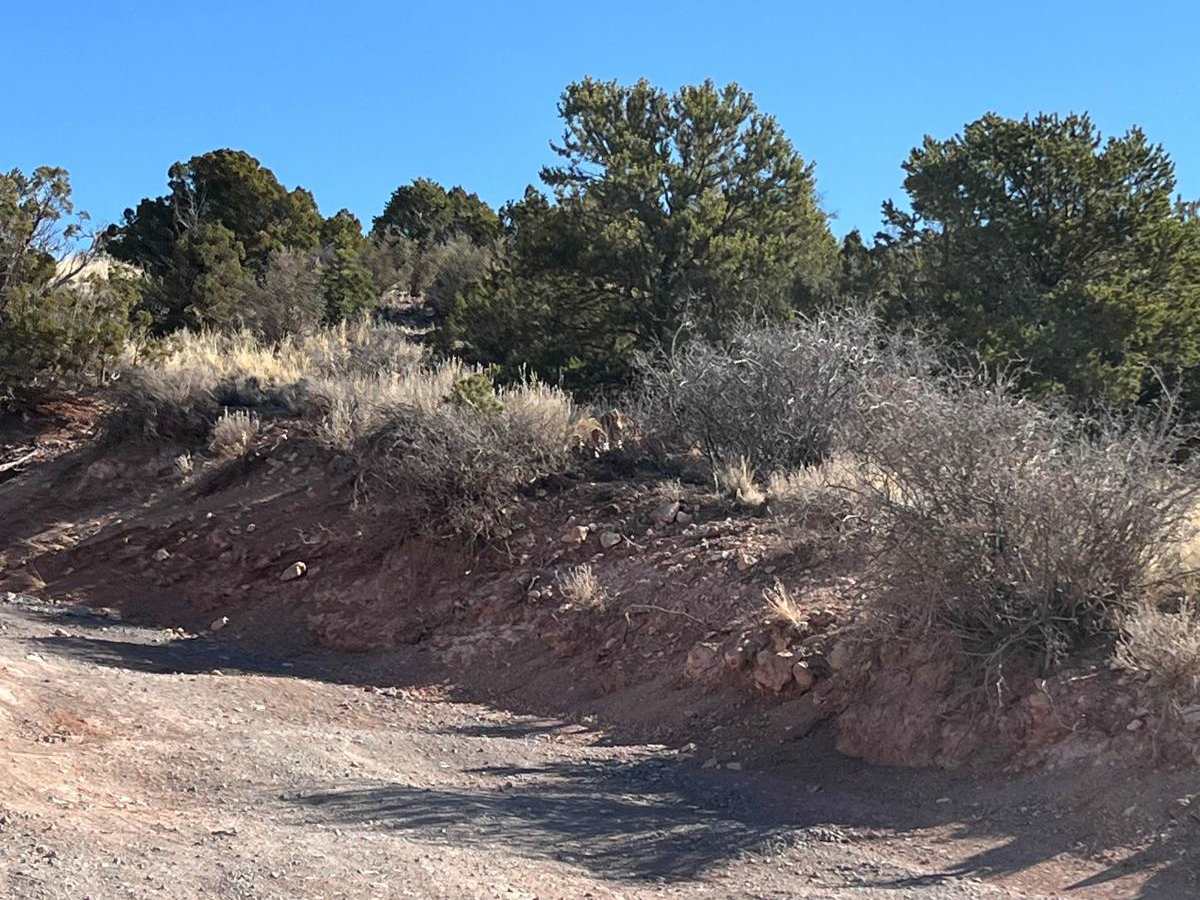 Tunnel Springs Road photo 4