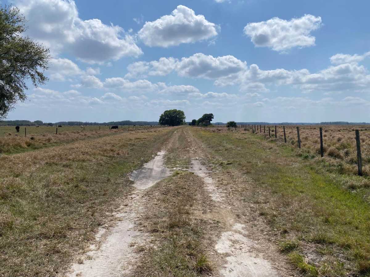 Road 10 photo 2