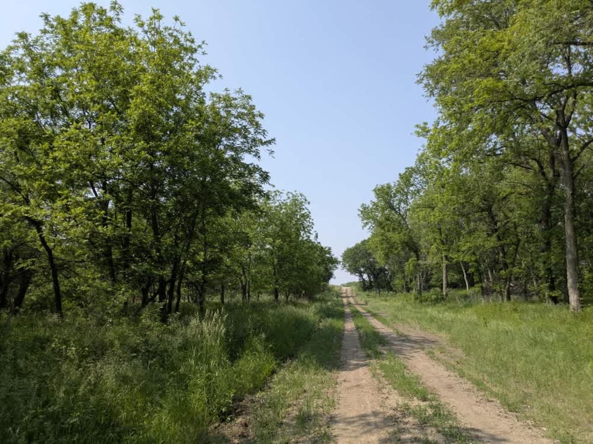 20th Road photo 6