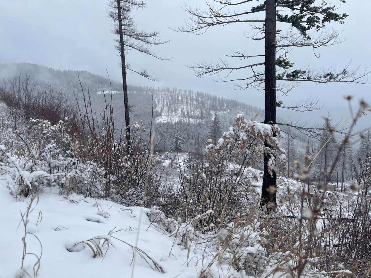 Copper Falls photo 4