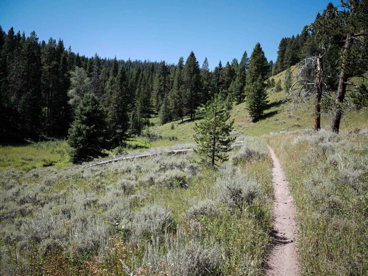 Cinnamon Trail photo 3