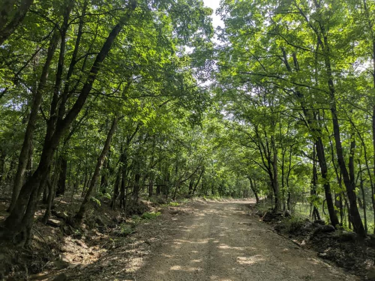 E859 trail photo