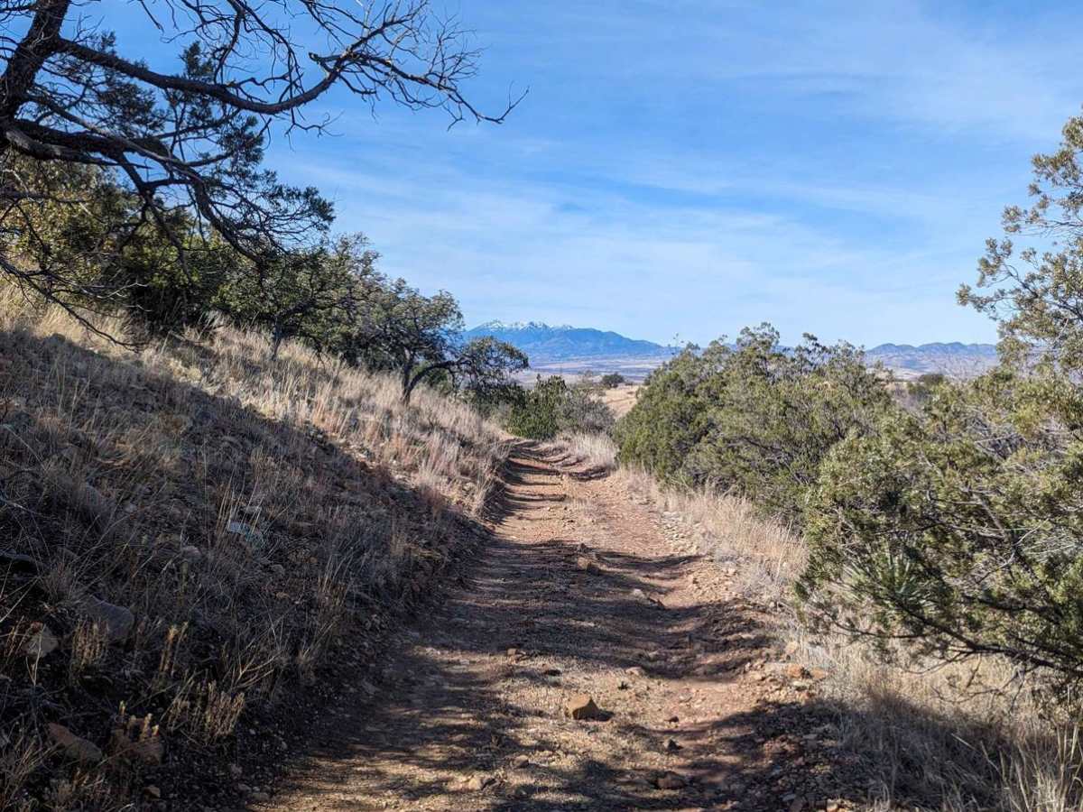 Coal Mine Road FR-4859 photo 3