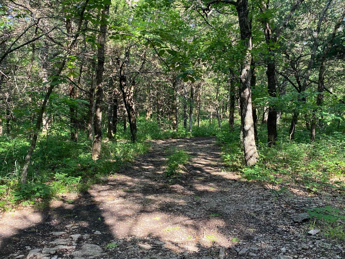 Big Valley photo 6