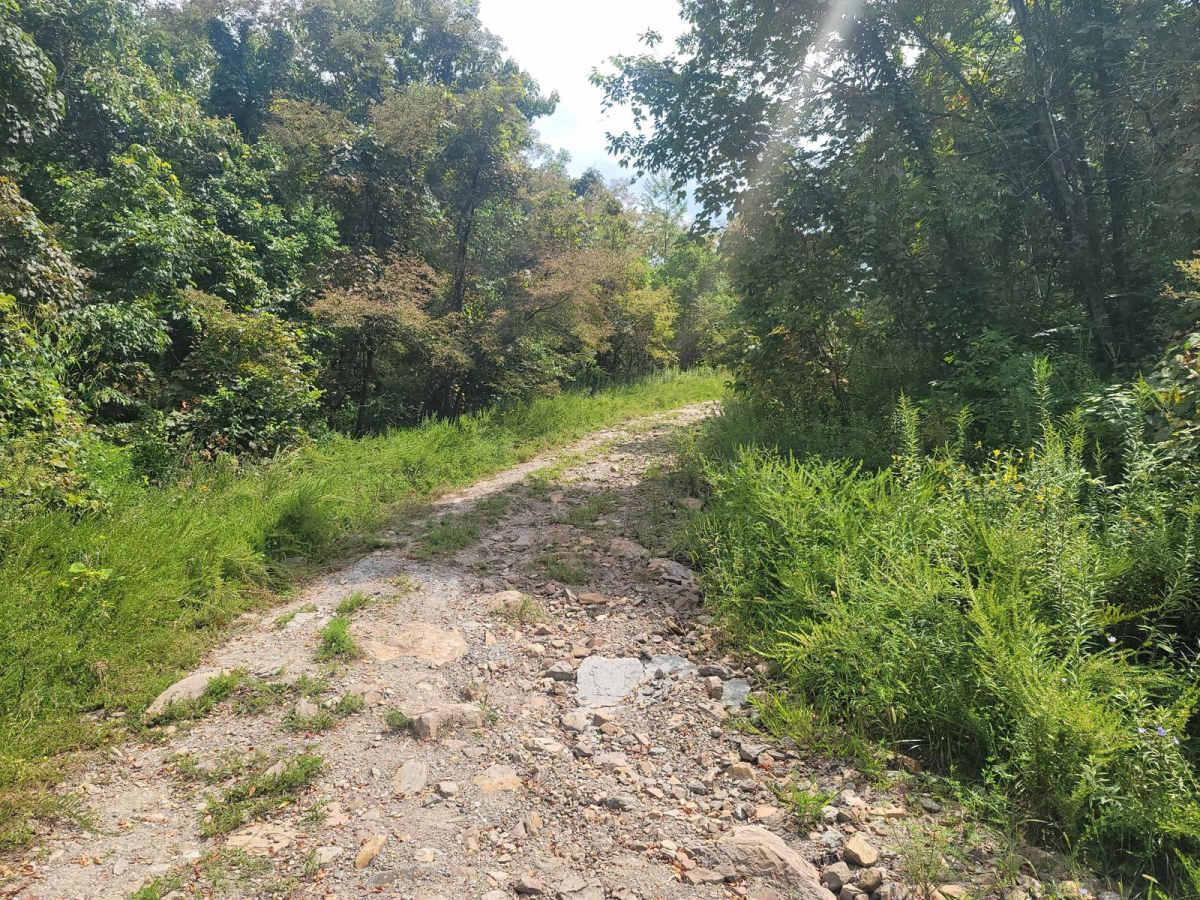 G16 - Sassafras Mountain photo 2
