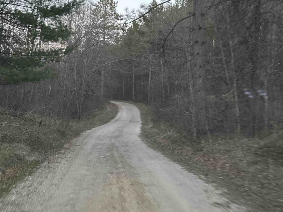 FS 3999 photo 3