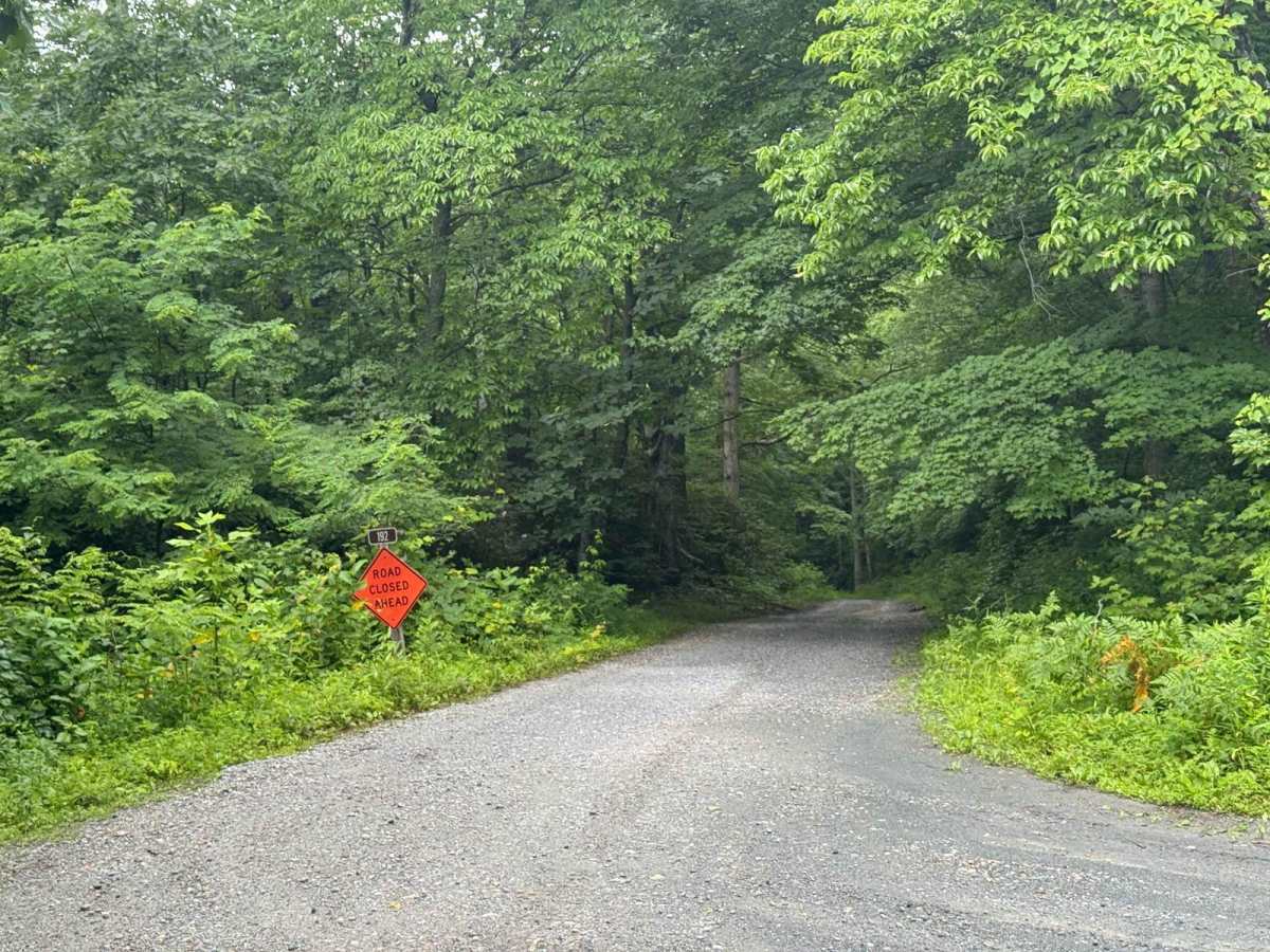 Roseboro Gragg - FS 192 trail photo