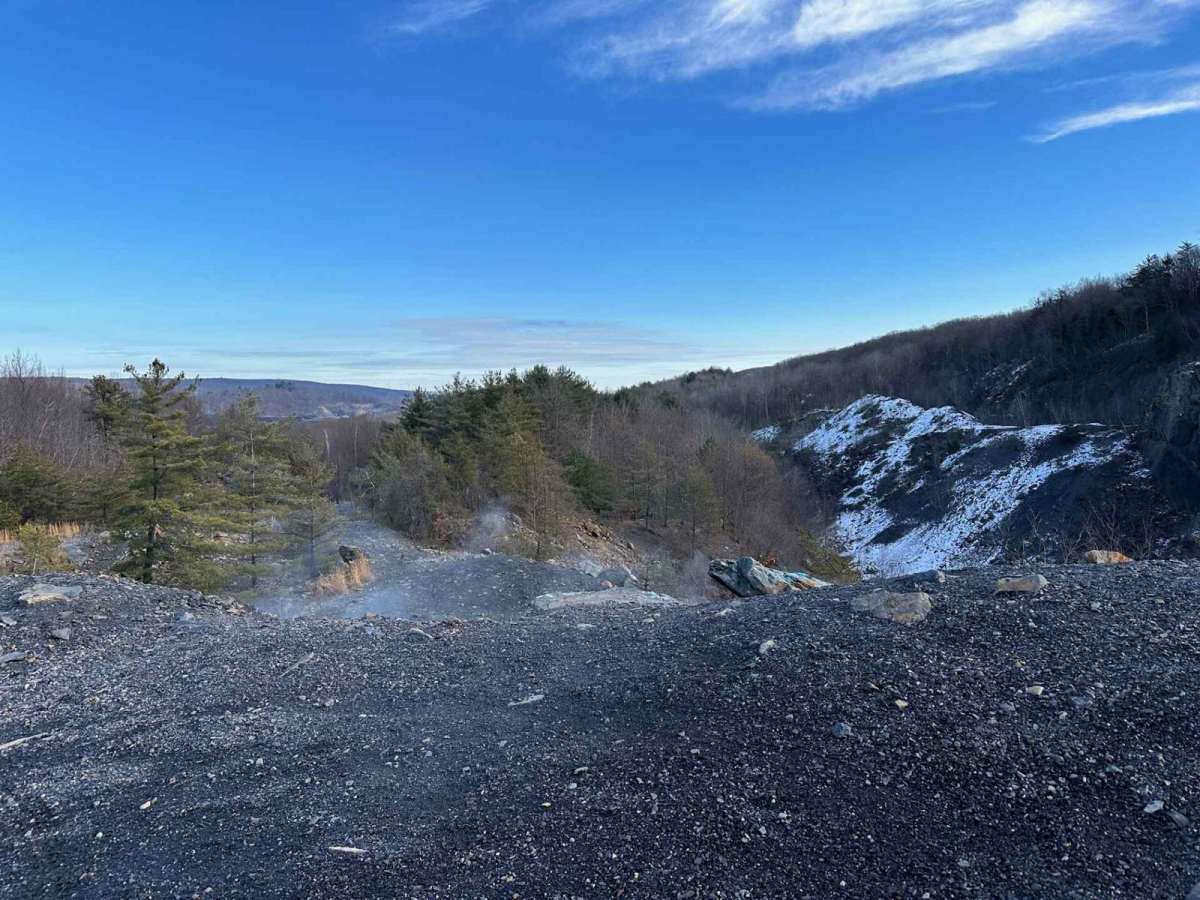 Locust Gap 56 photo 4