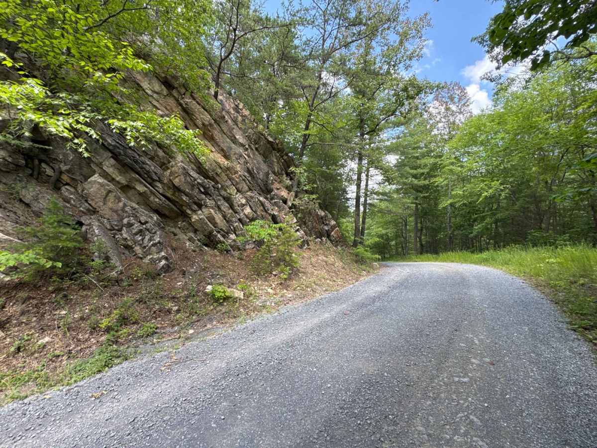 Chrisman Hollow - FS 274 trail photo