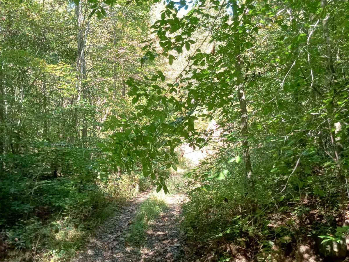 Brady Road photo 4