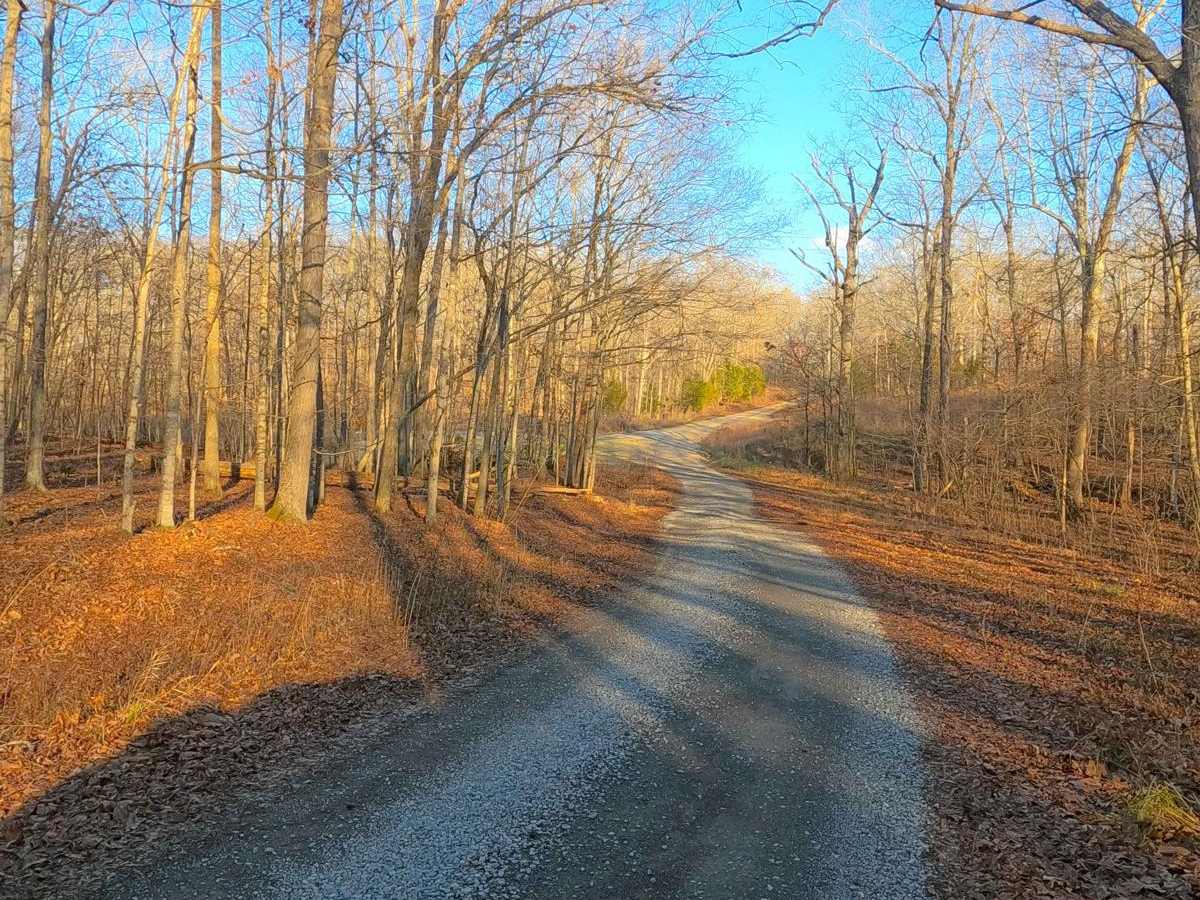 Fulk Cemetery Road - FS 309 photo 3