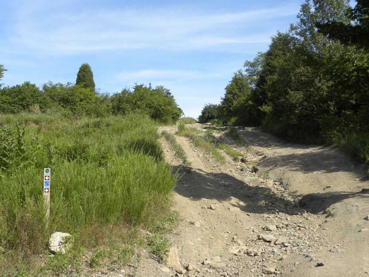 Trail 1B (Intermediate) photo 3