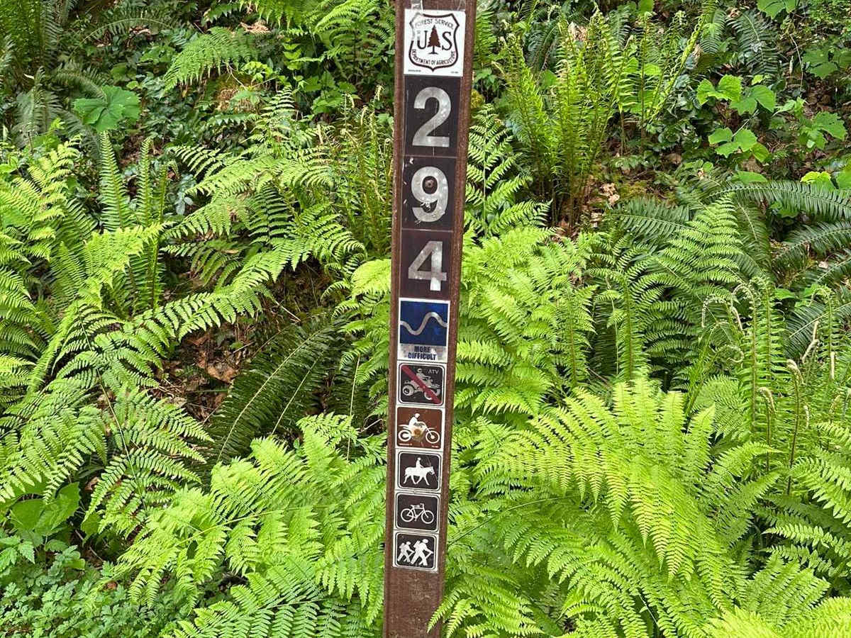 Tongue Mtn photo 2