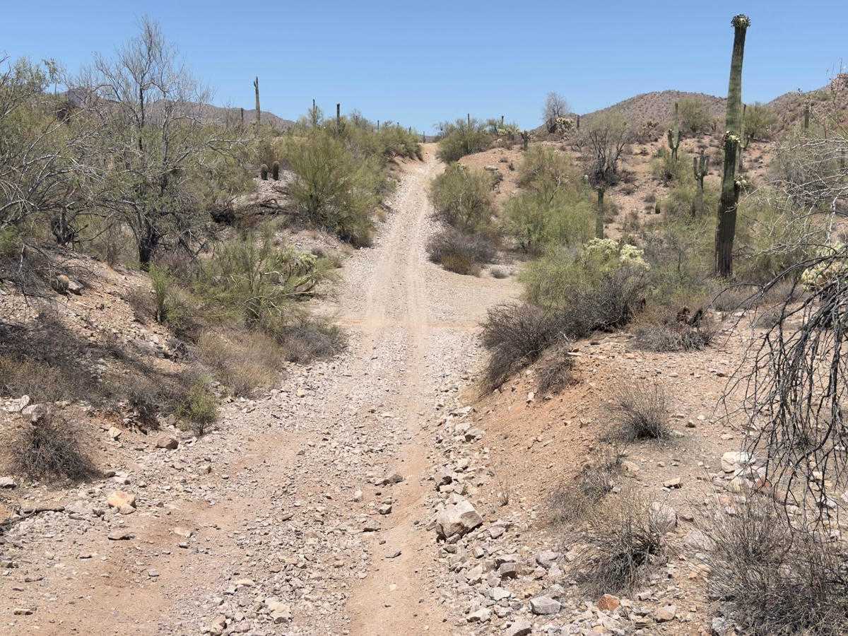Side Quest trail photo