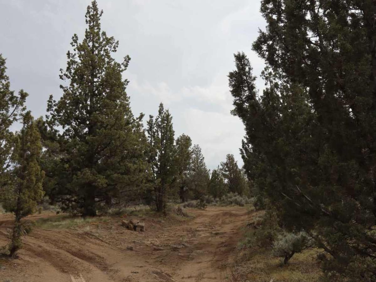 Remington Ranch Road Loop photo 3