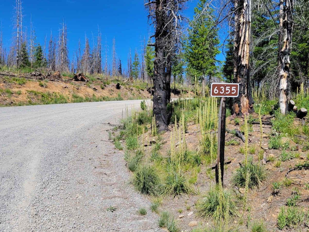 FR 6355 trail photo