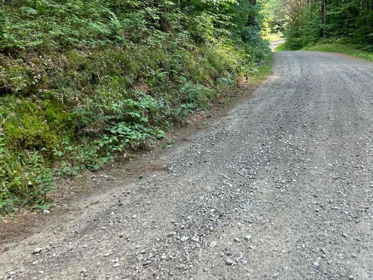 Twin Lakes Road photo 4