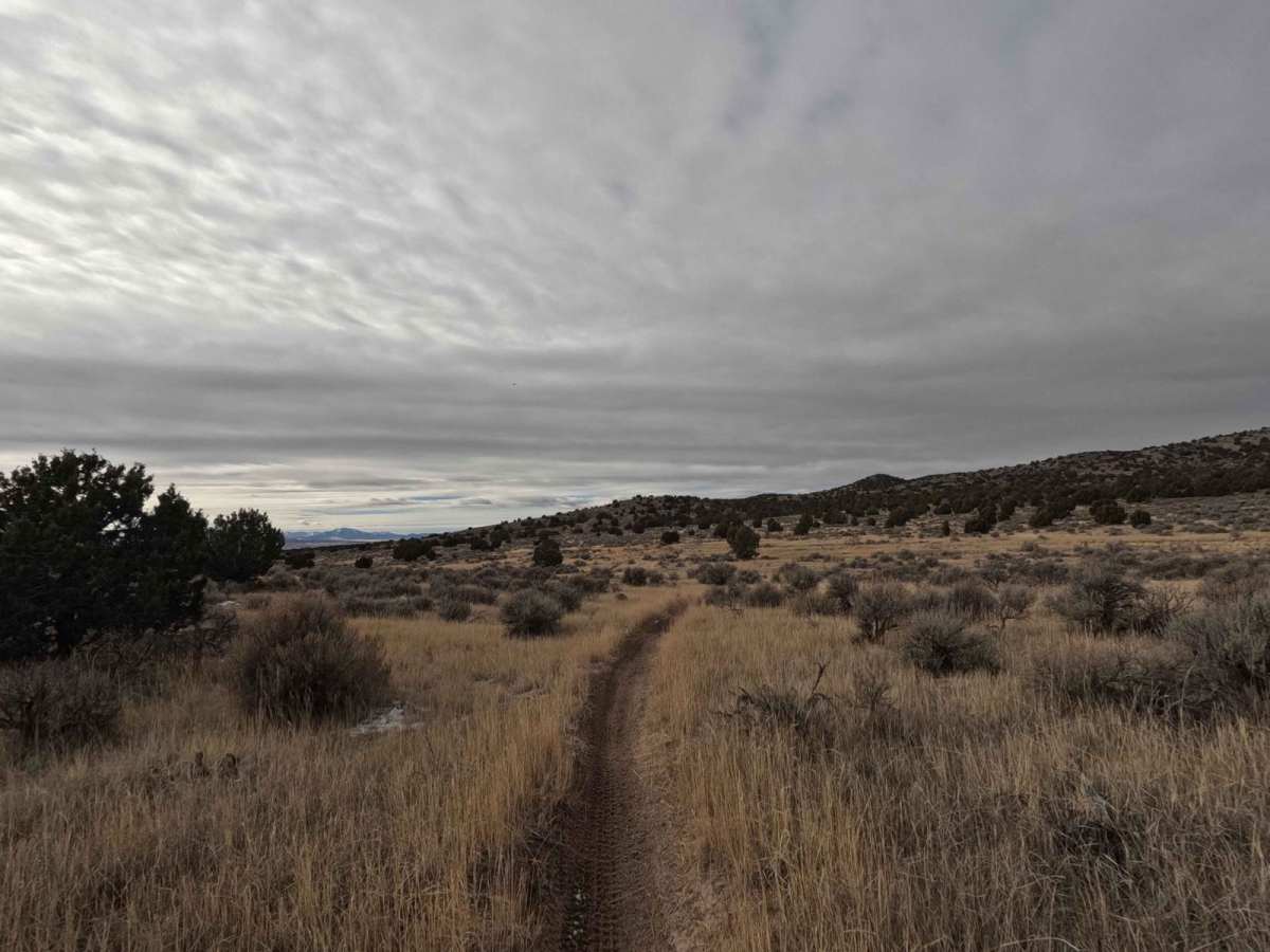 513 trail photo