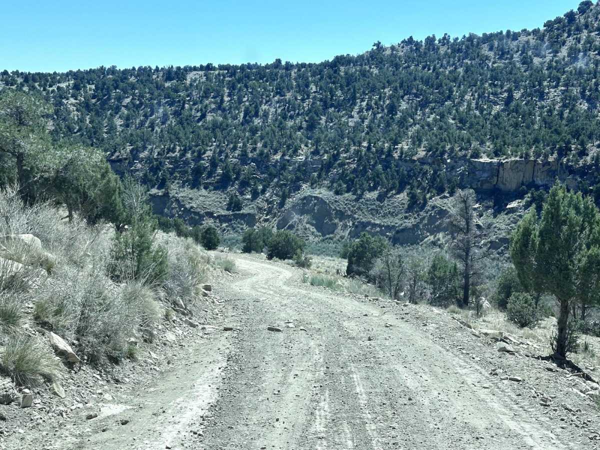 Trestle Road photo 5