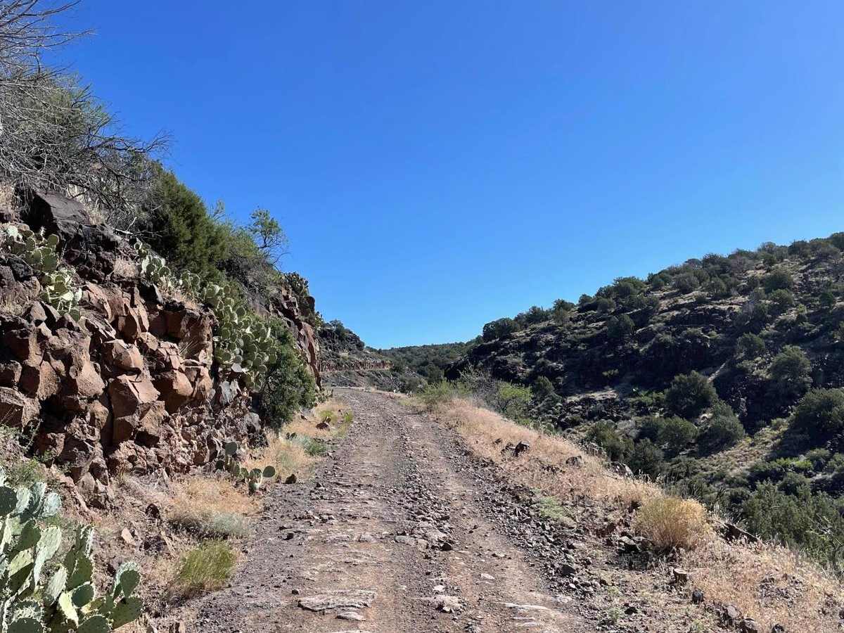 FS 689 trail photo