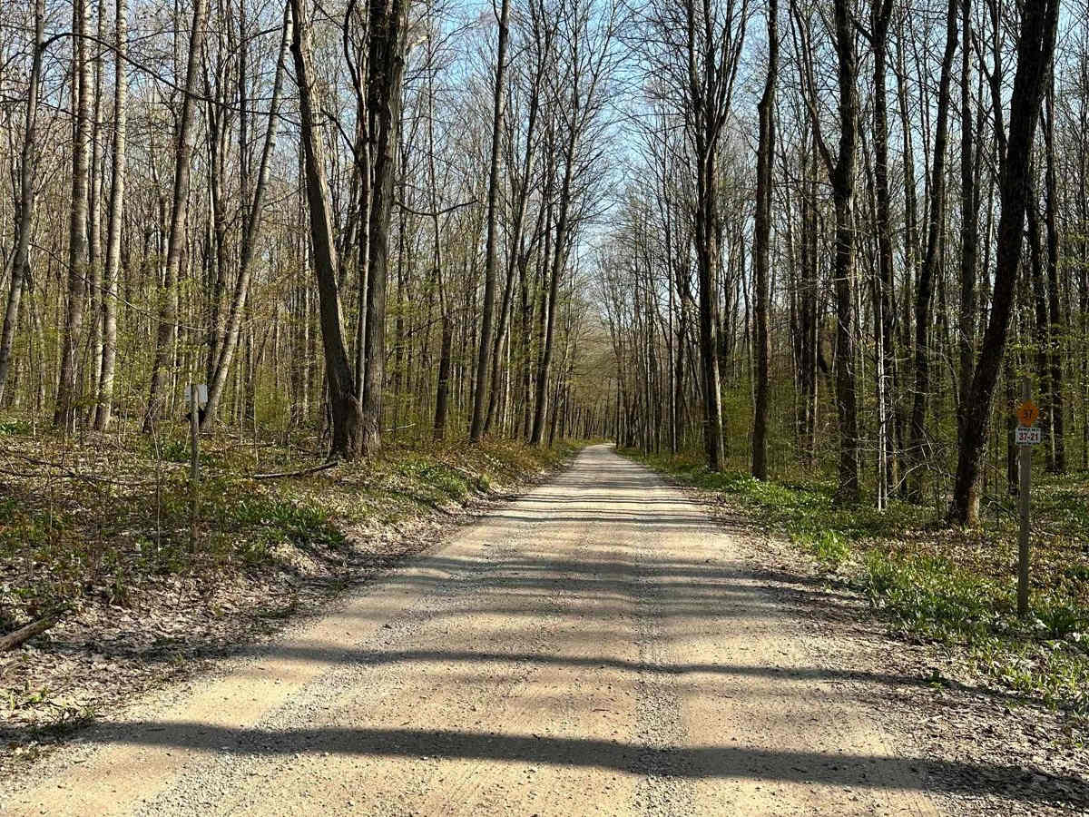 Cadillac Area ORV/OHV Scenic Ride - Part 9 photo 2