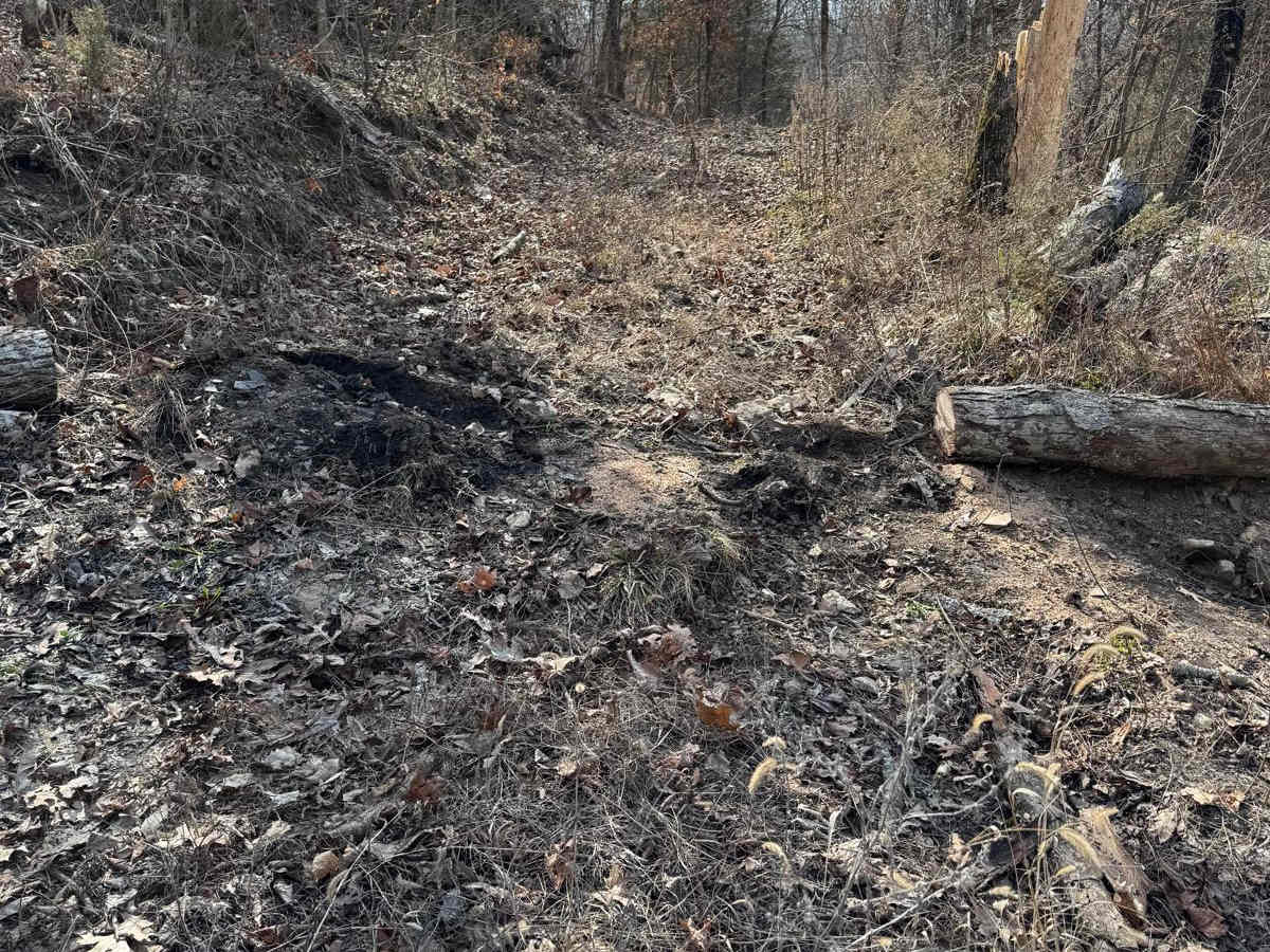 Yellow 420 trail photo