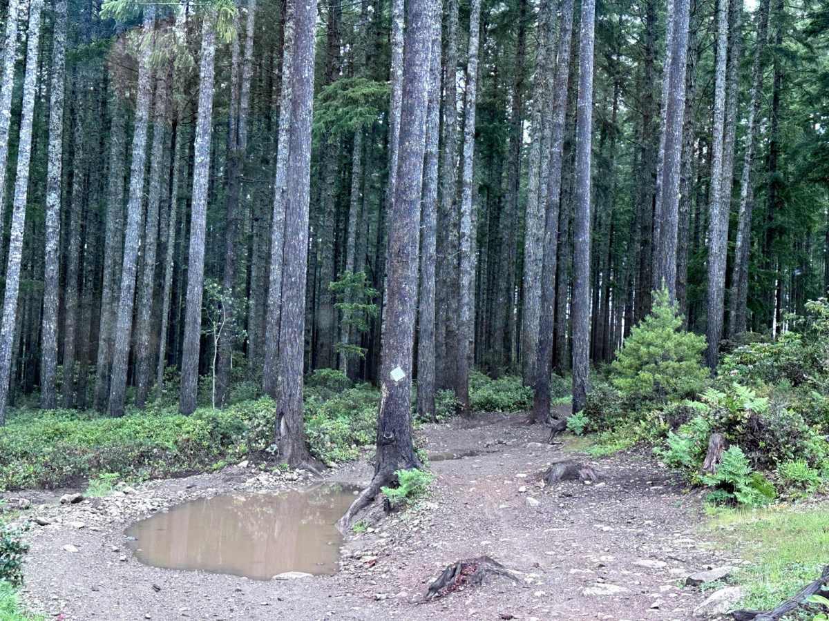 Door Bender Trail photo 5