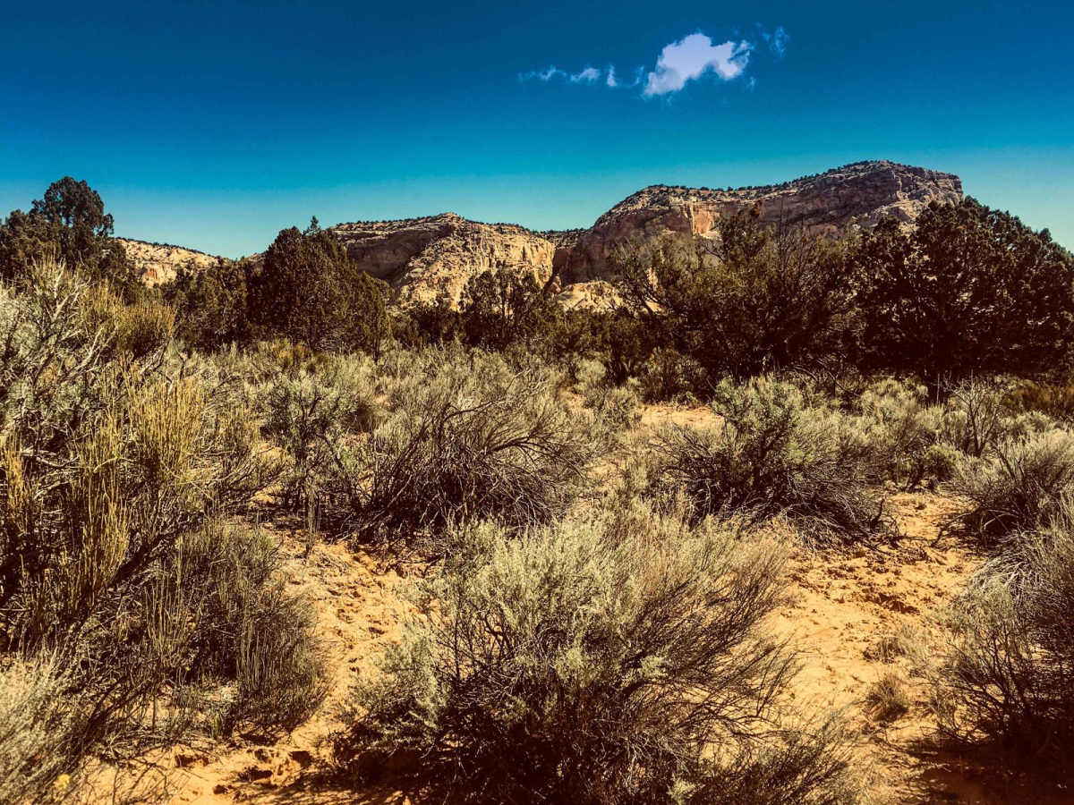 Nephi Pasture Road BLM556-K3600 photo 5