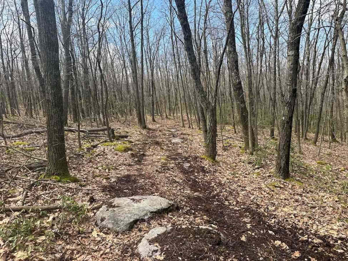 Ashland 178 photo 3