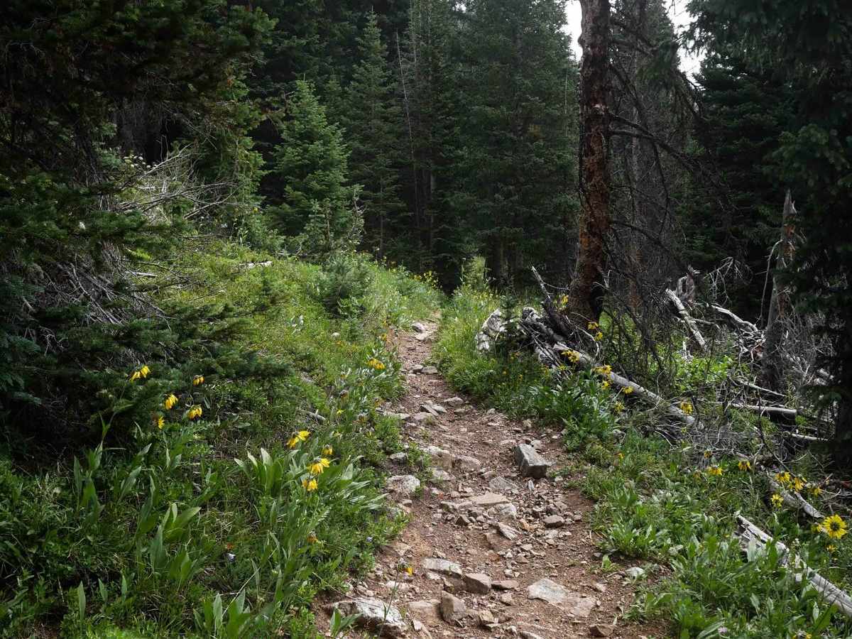 Never Summer Trail  photo 4