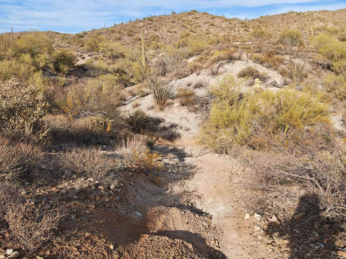Wash Connector - Single Track photo 3