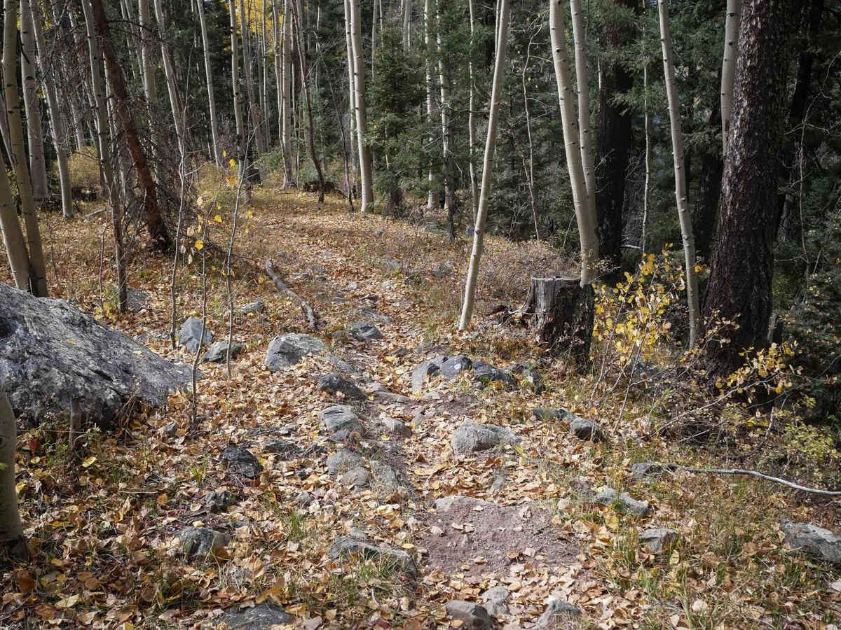 Bear Creek photo 3