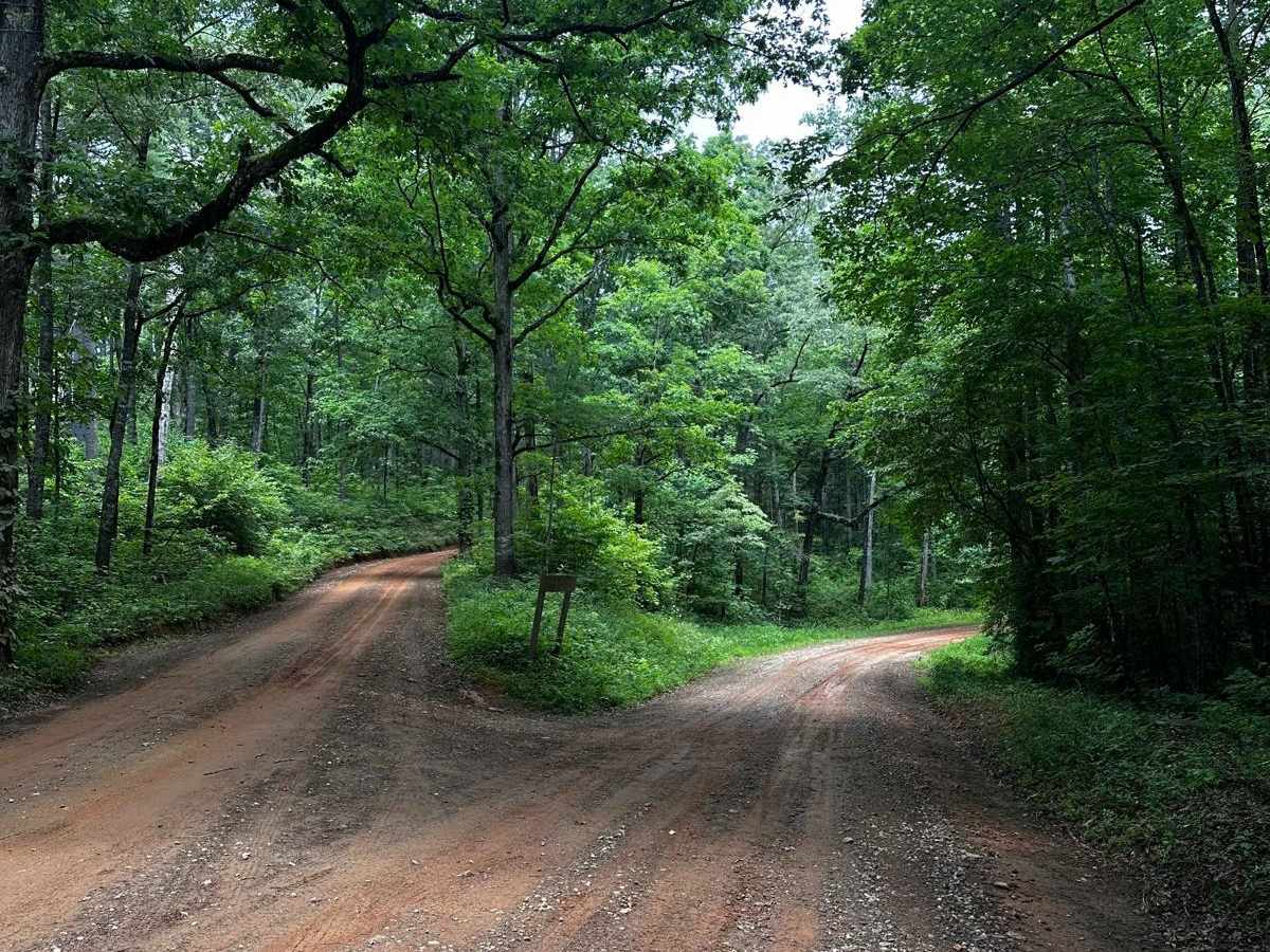 Nimblewill Branch 1 photo 2