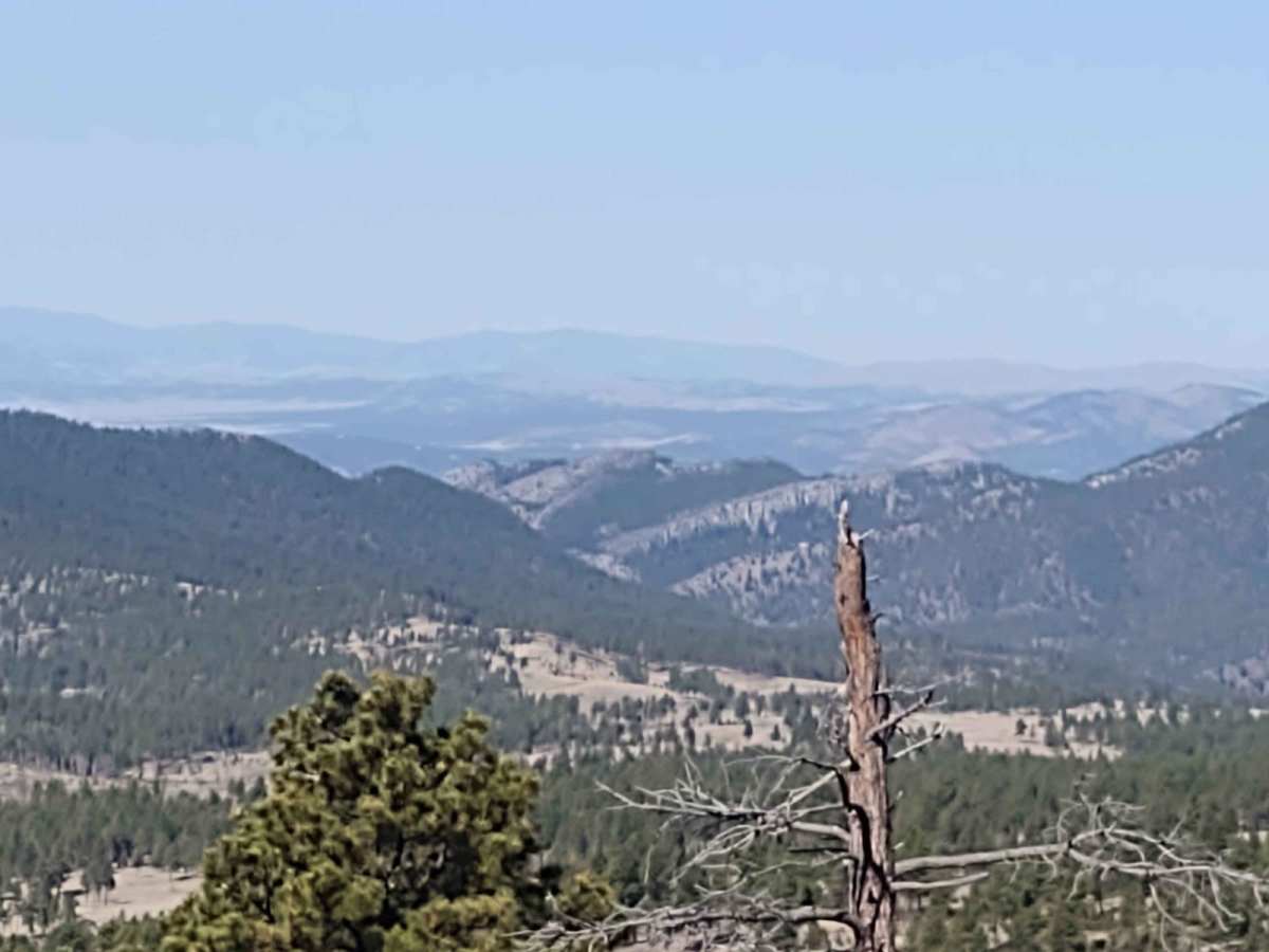 York Gulch photo 3