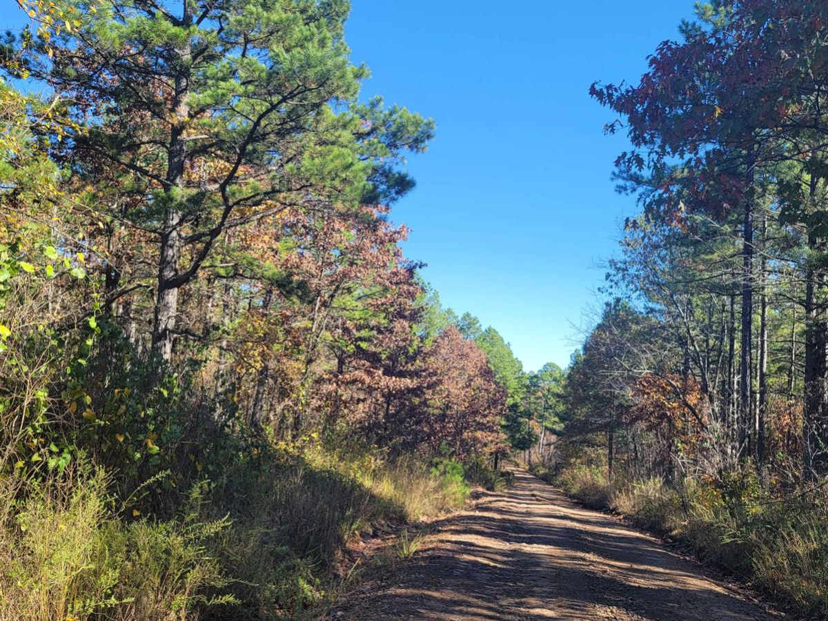 Haw Creek photo 6