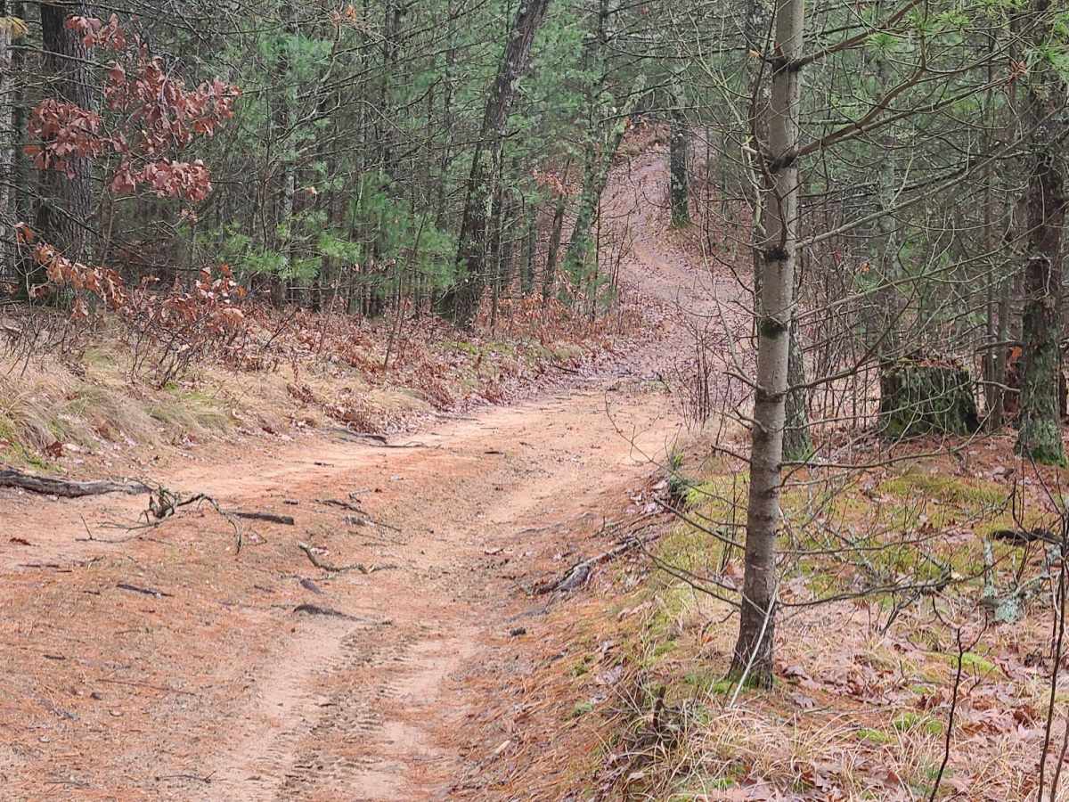 Austin Road to Forest Road 9844 photo 2
