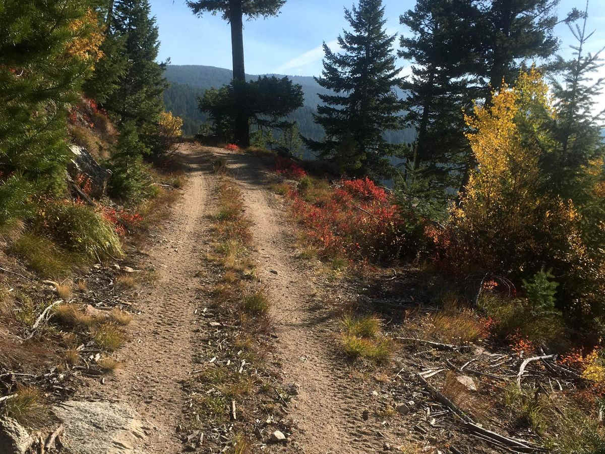 Darby Trails Loop 2 photo 6