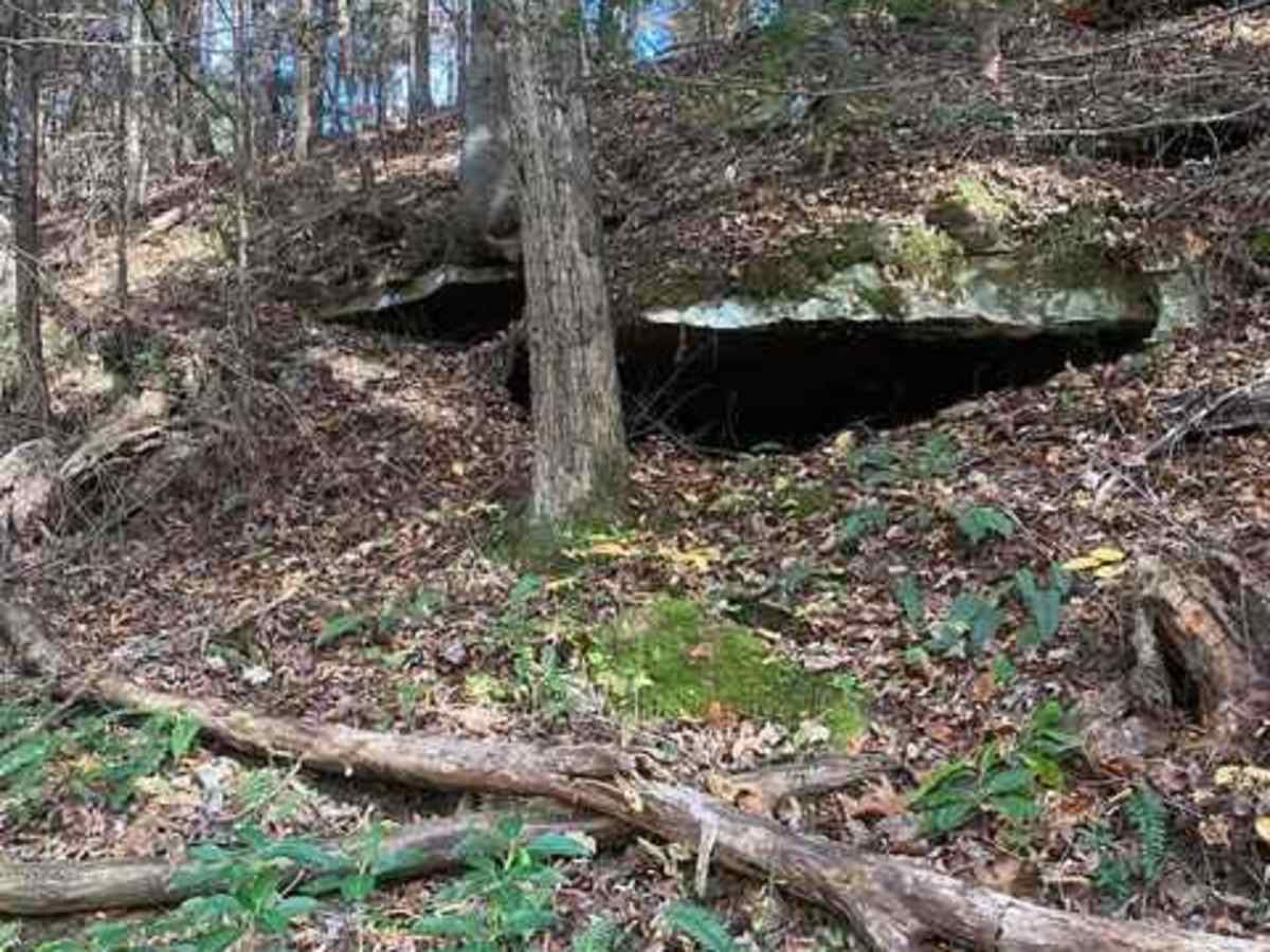 Trail 202 photo 4