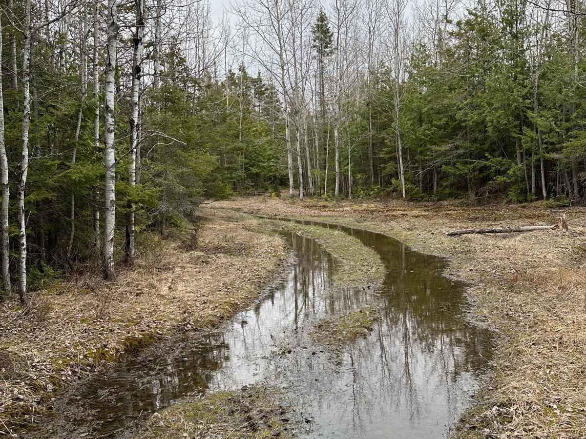 Maxton Loop photo 2