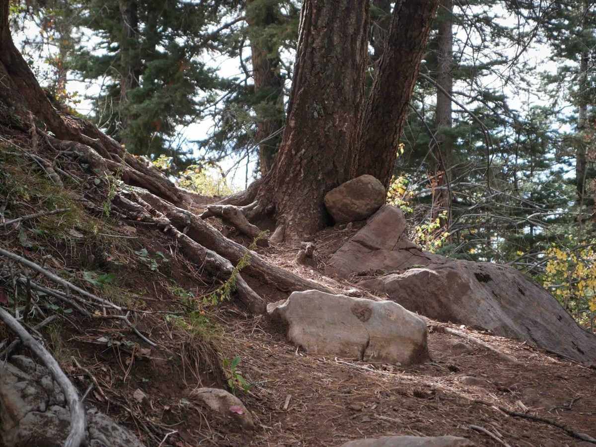 Dark Canyon photo 2