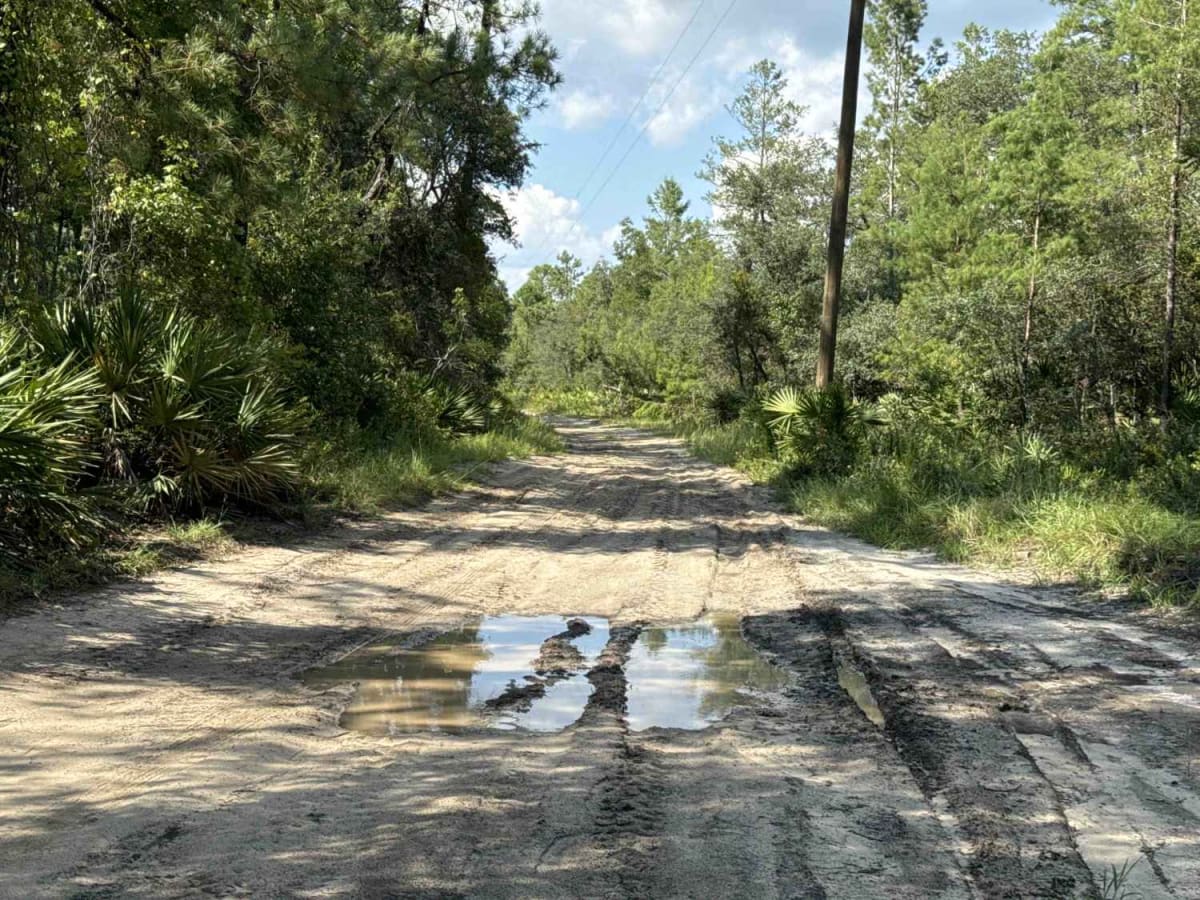 Telephone Trail - ONF 71 photo 5