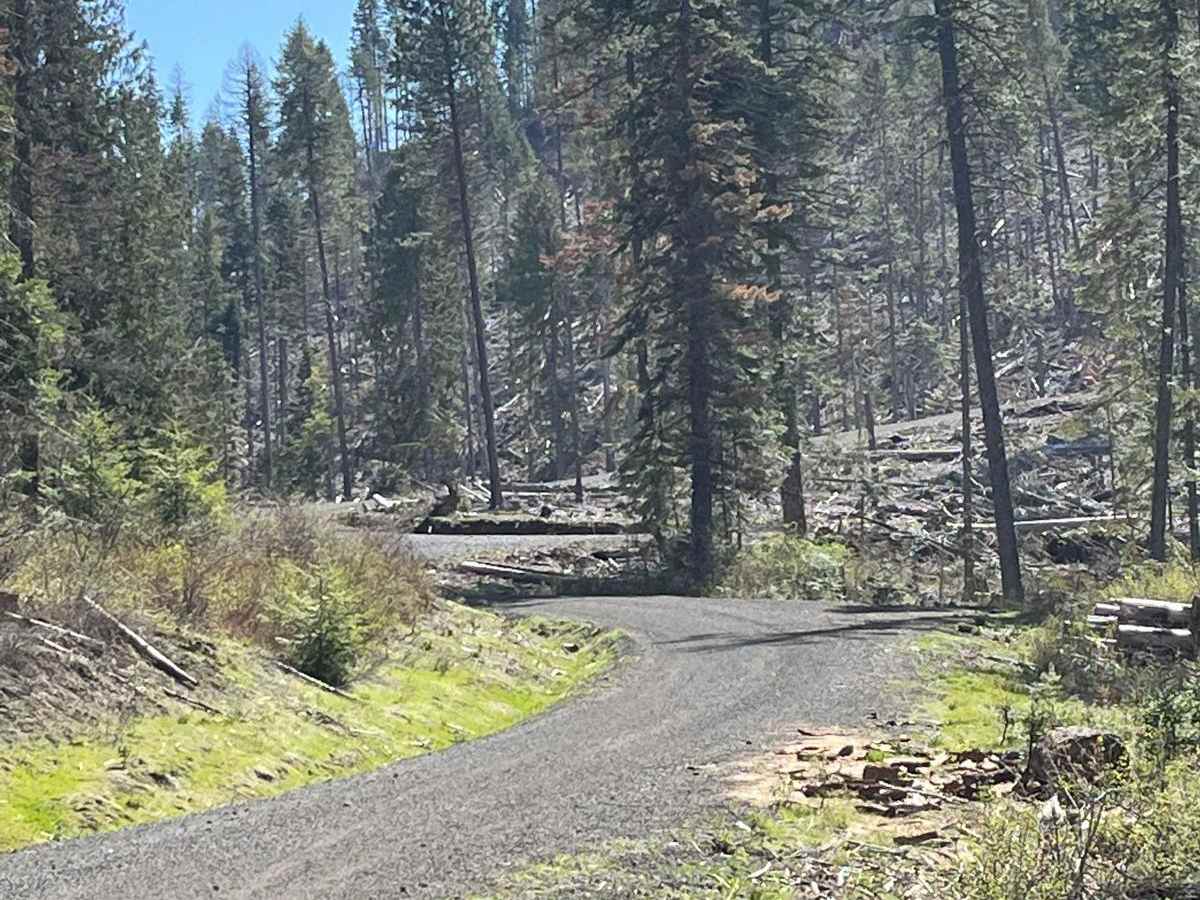 Cherry Butte Lower Road photo 2