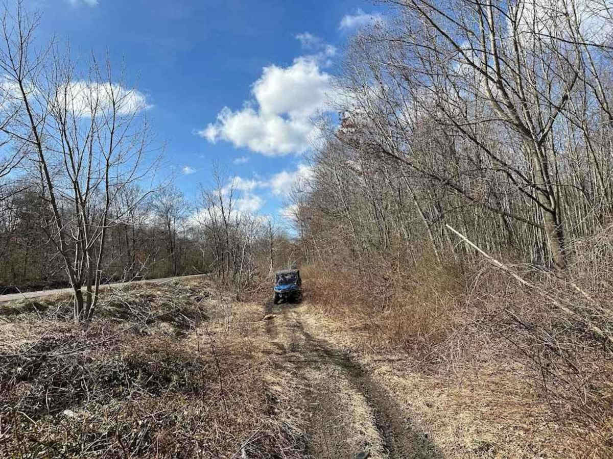 Locust Gap 80 trail photo